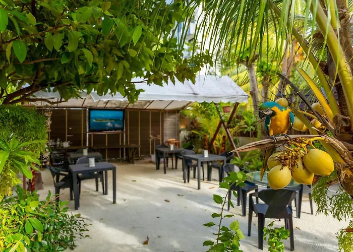 Daisy Cottage Dhangethi