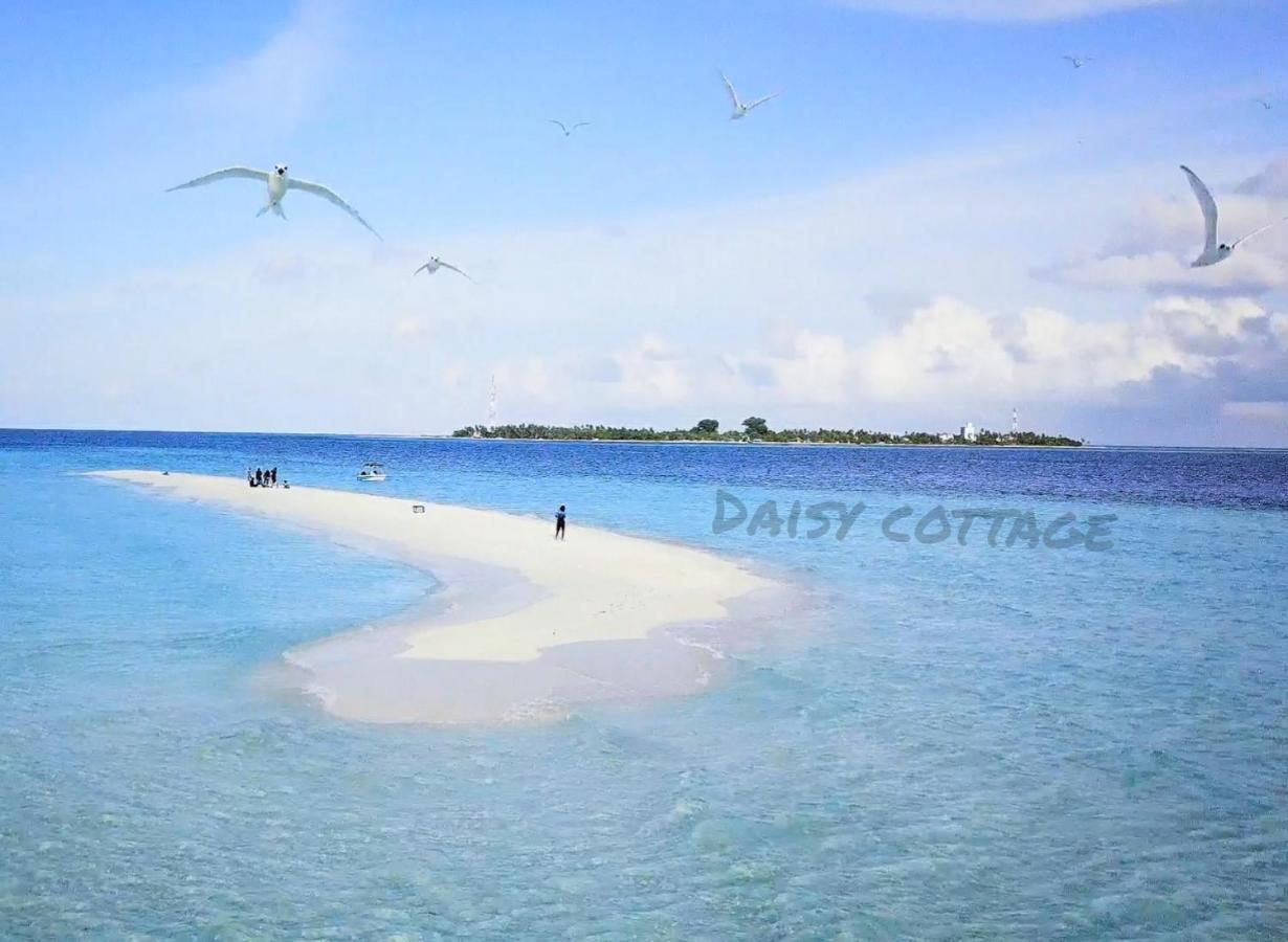 Daisy Dhangethi